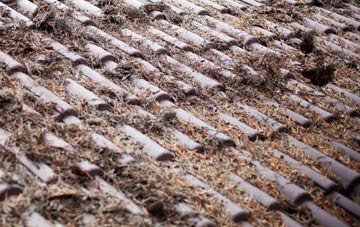 Scrabster roof cleaning companies